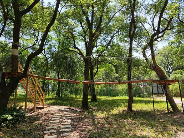 兒童游樂園設(shè)備哪里有