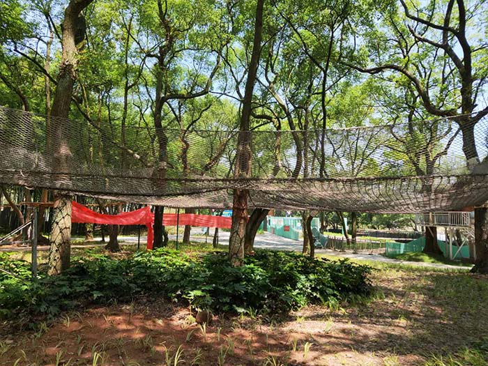 兒童游樂區(qū)設(shè)備哪里有